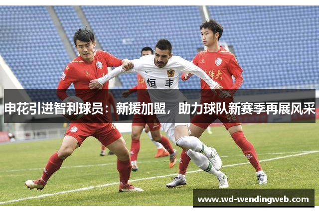 申花引进智利球员：新援加盟，助力球队新赛季再展风采