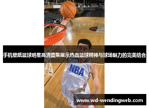 手机壁纸篮球明星高清图集展示热血篮球精神与球场魅力的完美结合